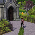 sims3607.jpg