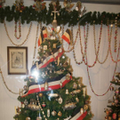 DSC03393.JPG