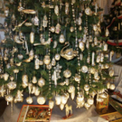 DSC03418.JPG