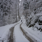 Andelsbuch im Schnee