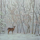 020_optical_illusion_8.jpg