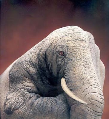 optical-illusion-pics-34.jpg