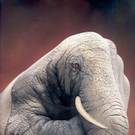 optical-illusion-pics-34.jpg