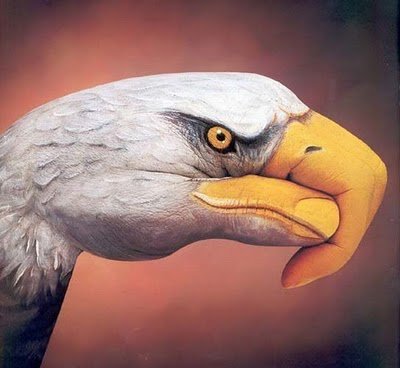 optical-illusion-pics-35.jpg
