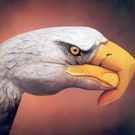 optical-illusion-pics-35.jpg