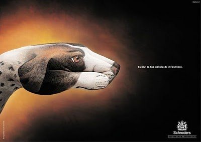 optical-illusion-pics-36.jpg