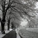 Schruns am 24. Nov. 2010