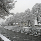 005_bearbeitet-1_jpg-1290604723
