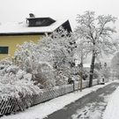 015_bearbeitet-1_jpg-1290604811