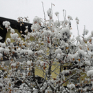 051_bearbeitet-1_jpg-1290604923
