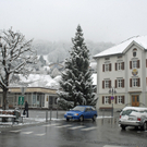 121_bearbeitet-1_jpg-1290605766