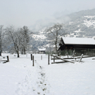 190_bearbeitet-1_jpg-1290606390