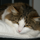DSC09356.JPG