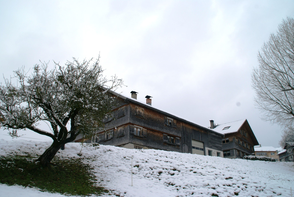 DSC09359.JPG