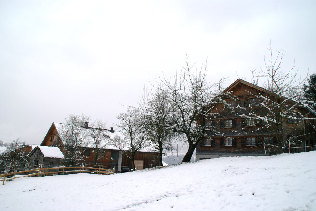 DSC09360.JPG