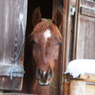 DSC09357.JPG
