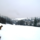 DSC09374.JPG