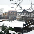 DSC09376.JPG