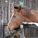 DSC09400.JPG