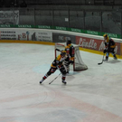 DSC_0053_jpg-1290617664