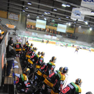 DSC_0055_jpg-1290617666