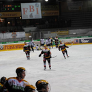 DSC_0056_jpg-1290617666