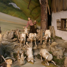 CIMG14343.JPG