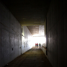 webPB230705.jpg