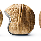 helmet-nut.jpg