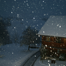 schnee3.JPG