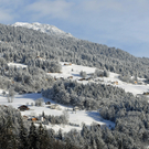 008_bearbeitet-1_jpg-1290756621