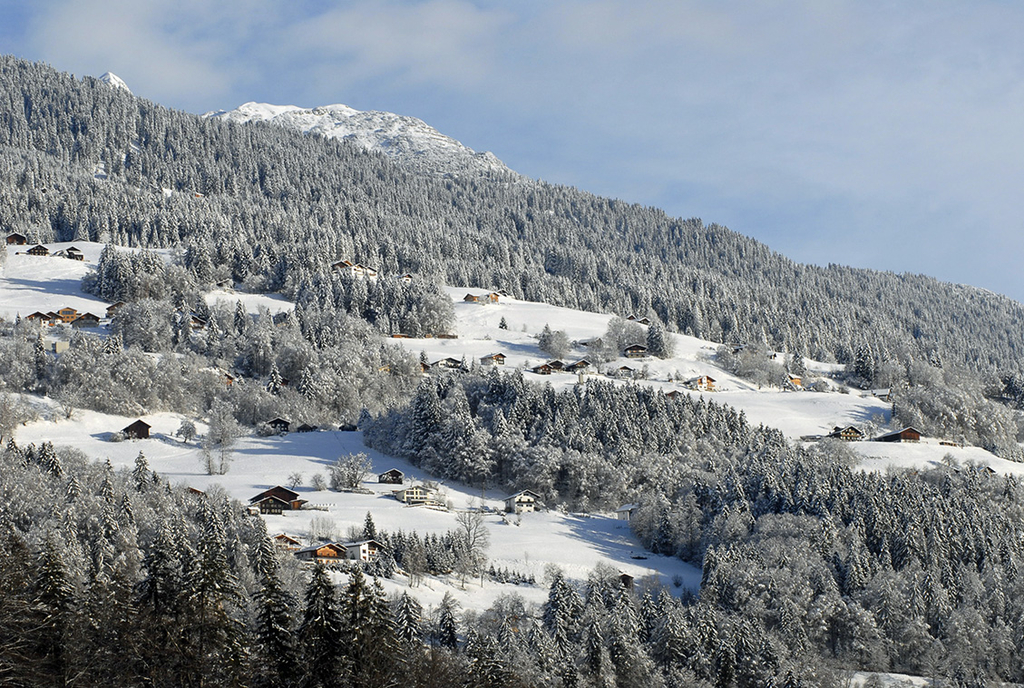 008_bearbeitet-1_jpg-1290756621