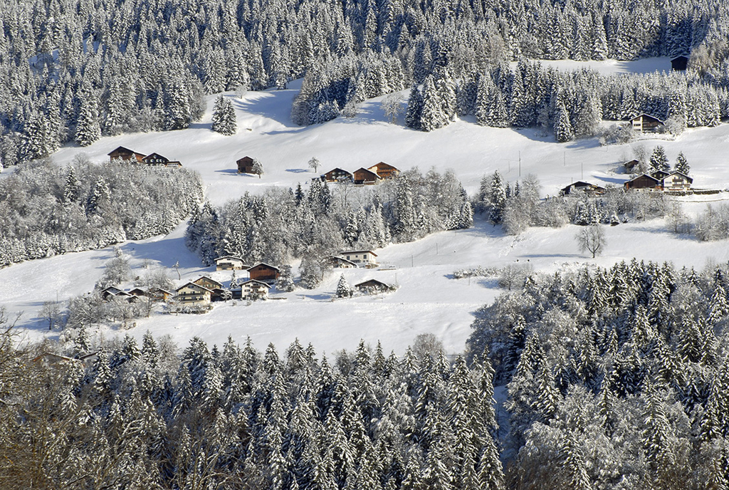 021_bearbeitet-1_jpg-1290756669