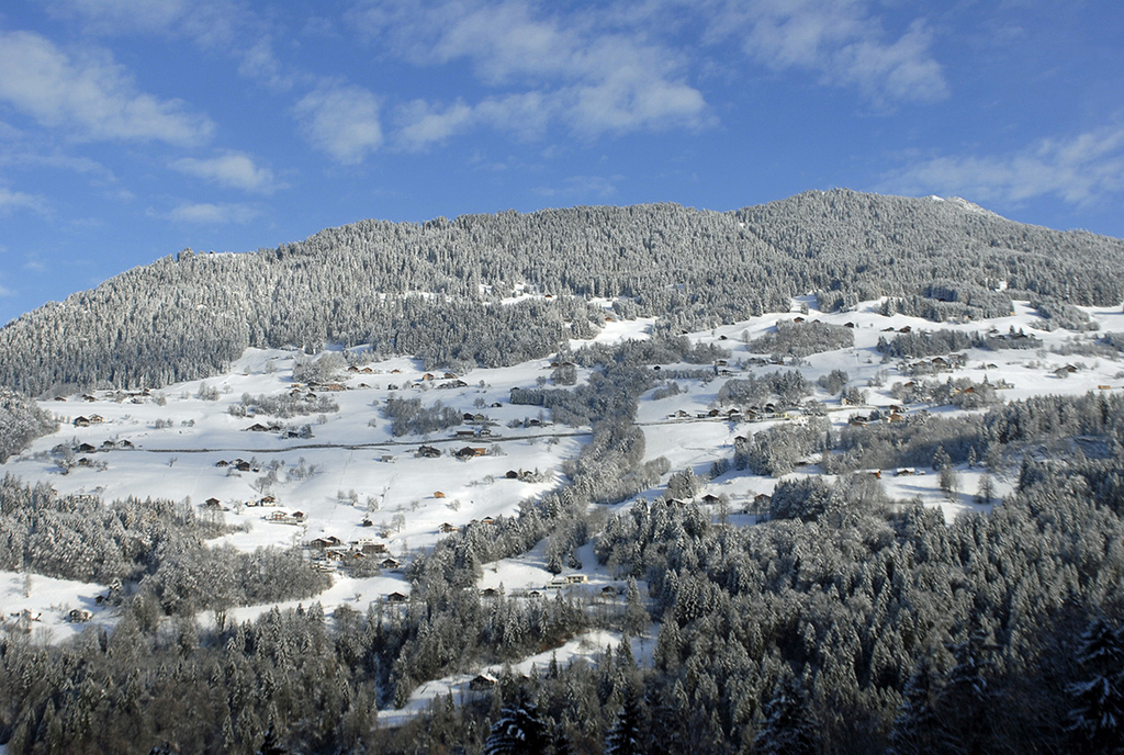 073_bearbeitet-2_jpg-1290756833