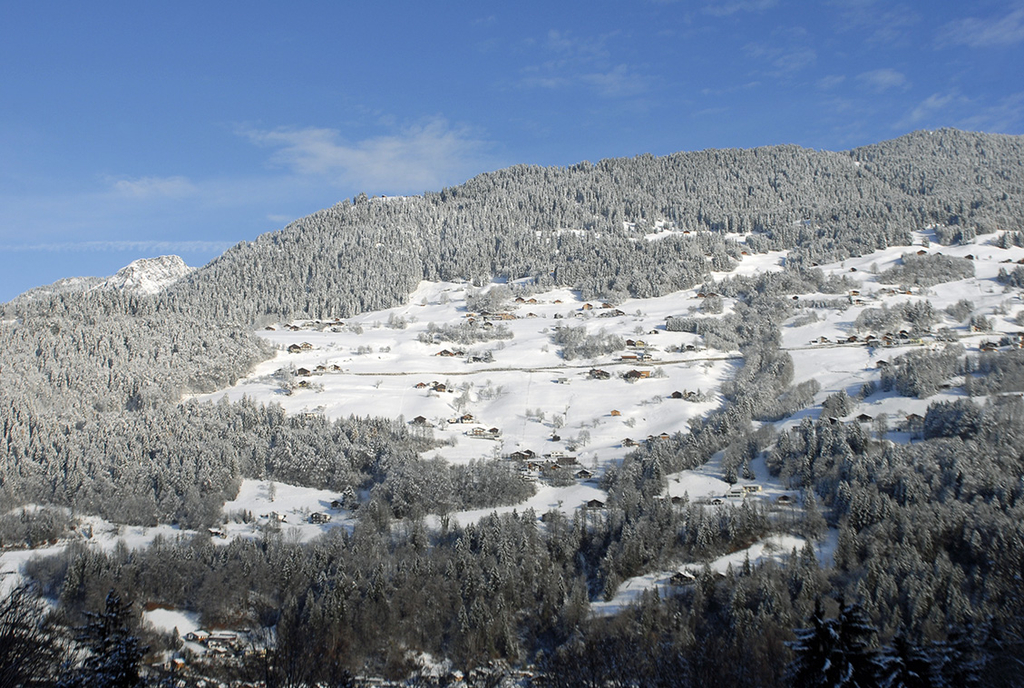 098_bearbeitet-1_jpg-1290756878