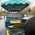 normal_25112010kutschenvumwaktivnews_04.jpg