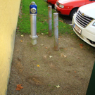normal_25112010kutschenvumwaktivnews_08.jpg