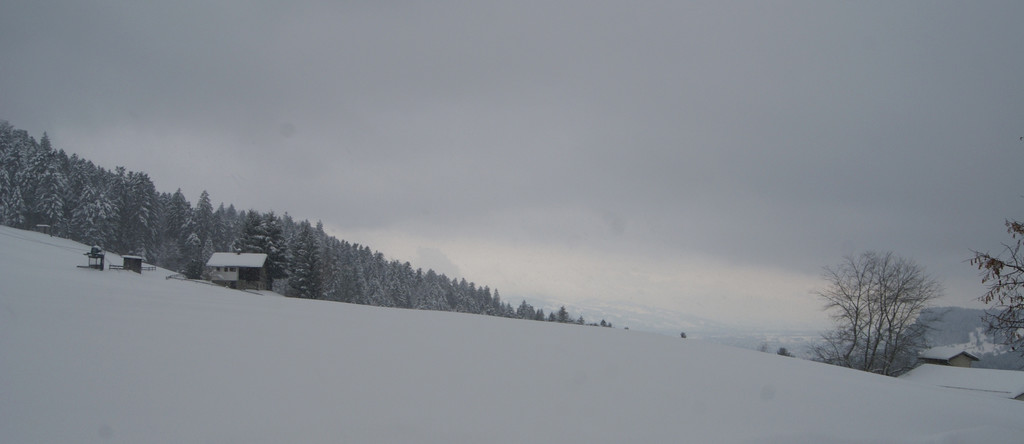 DSC09765_JPG-1290772362