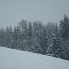 Schneebilder aus Vorarlberg