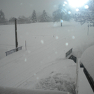 DSCN7891.JPG