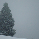 juhuuuu SCHNEE 001.JPG
