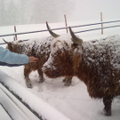 winter 016_jpg-1290779926