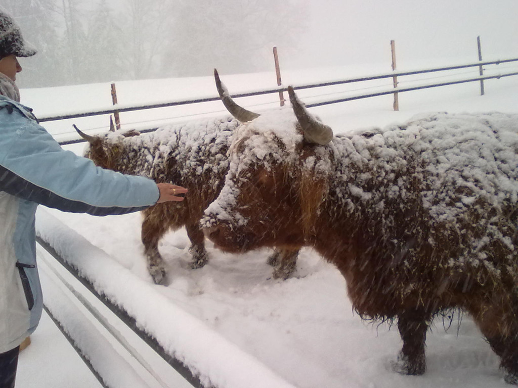 winter 016_jpg-1290779926