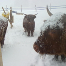 winter 018_jpg-1290779931