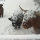 winter 020_jpg-1290779938