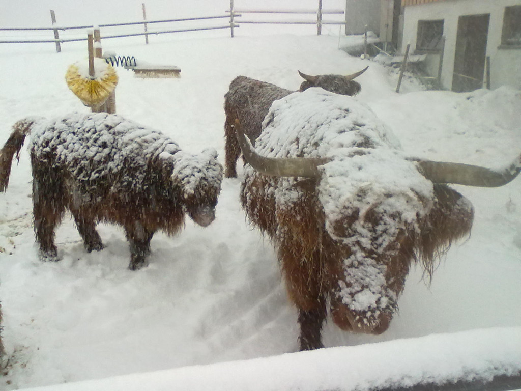 winter 021_jpg-1290779941
