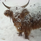 winter 022_jpg-1290779944