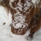 winter 024_jpg-1290779950