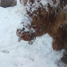winter 025_jpg-1290779953