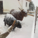 winter 028_jpg-1290779963